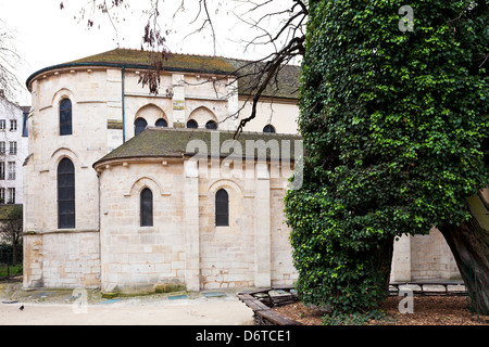 Kirche St. Julien le Pauvre und älteste städtische Baum robinier auf quadratischen Rene Viviani in Paris Stockfoto
