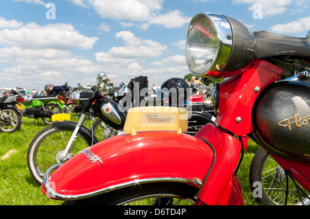 Oldtimer-Mopeds-Tagung am 30. Juni 2012 in Twenterand, Niederlande Stockfoto