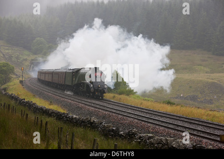 Anschluß von Südafrika Dämpfen durch Blea Moor Tunnel Stockfoto