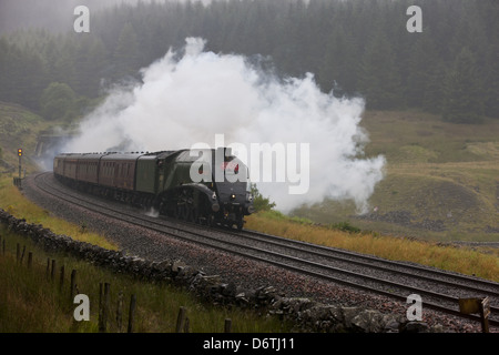 Anschluß von Südafrika Dämpfen durch Blea Moor Tunnel Stockfoto