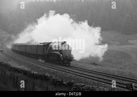 Anschluß von Südafrika Dämpfen durch Blea Moor Tunnel Stockfoto