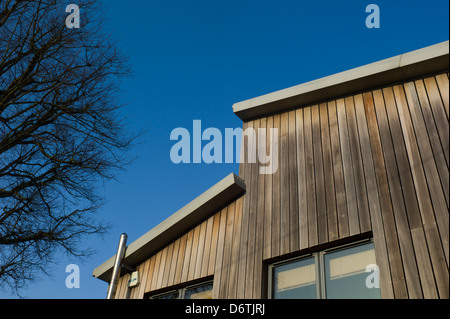 Holzverkleidungen Gebäude und Baum, Brighton, UK Stockfoto