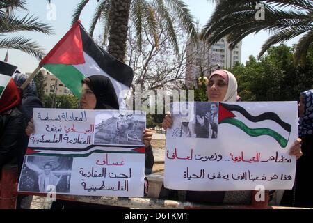 23. April 2013 - Gaza-Stadt, Gazastreifen, Palästina - palästinensische Frauen halten Plakate während einer Kundgebung in Solidarität mit den palästinensischen Gefangenen in israelischen Gefängnissen Samer Issawi und Unterstützung der palästinensischen '' Arab Idol'' star Mohammed Assaf in Gaza-Stadt am 23. April 2013 (Credit-Bild: © Ezz Al-Zanoon/APA Images/ZUMAPRESS.com) Stockfoto