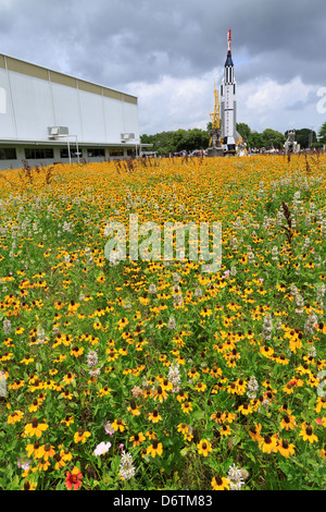 USA, Texas, Houston, Wildblumen in Rocket Park, Raumfahrtzentrum Stockfoto