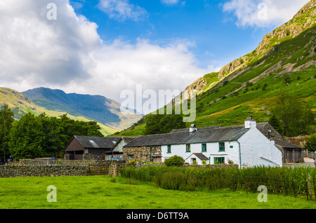 Mitte fiel Bauernhof am Fuße des Langdale fiel in der Nähe von Chapel Stile im Lake District National Park, Cumbria, England. Stockfoto