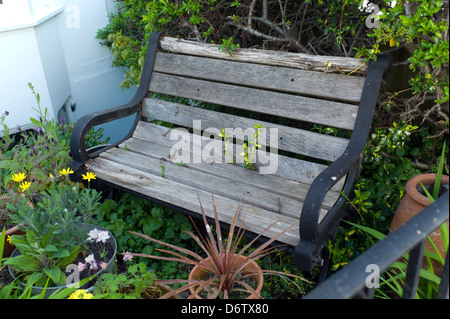 alten Holzbank im verwilderten Garten Stockfoto