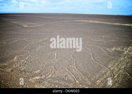 Die Arbol (Baum), einer der Nasca-Linien, Peru Stockfoto