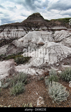 Drumheller Badlands vom südlichen Alberta Kanada Stockfoto