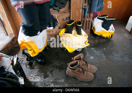 Fischer Kleider für Arbeit. Stellwagen Banken, New England, Vereinigte Staaten von Amerika, Nord-Atlantik Stockfoto
