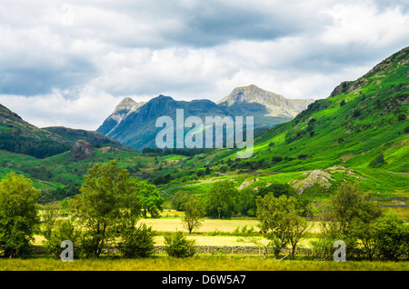 Langdale Pikes betrachtet aus dem kleinen Langdale Tal im englischen Lake District, Cumbria, England. Stockfoto