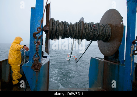 Fischer schleppen zurück Dragger net auf Fischkutter. Stellwagen Banken, New England, Vereinigte Staaten von Amerika, Nord-Atlantik Stockfoto
