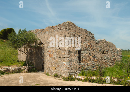 Ruine eines alten Hauses in der Natur Stockfoto