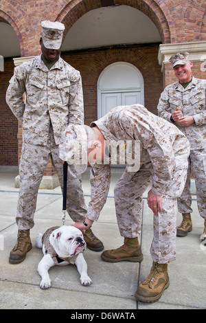 Kommandant des uns Marine Corps General James F. Amos Haustiere ausgehende Marinekorps Maskottchen SGT Chesty XIII während der Adler Globe und Anker Zeremonie für eingehende Marinekorps Maskottchen Private First Class Chesty XIV 8. April 2013 in Washington, DC. Die englische Bulldogge ist seit den 1950er-Jahren mit jedem benannt zu Ehren von den hochdekorierten späten General Lewis Chesty Puller Chesty die Wahl der Rasse für Marine-Maskottchen. Stockfoto