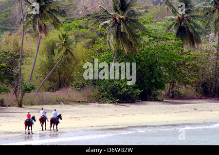 Trinidad und Tobago, Tobago, Courland Bay, Reiten Stockfoto