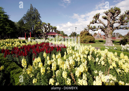 Neue Zaeland, Rotorua, Blumen vor Museum für Kunst und Geschichte Stockfoto