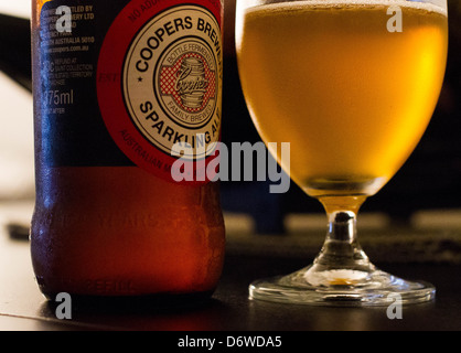 Frisch gegossen Glas Bier. Stockfoto