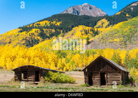 Gebäuden umgeben von Herbstlaub, Ashcroft Geisterstadt, Pitkin County in der Nähe von Aspen, Colorado. Stockfoto