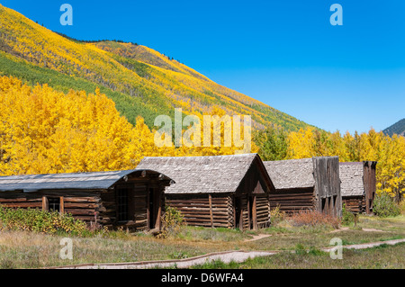 Gebäuden umgeben von Herbstlaub, Ashcroft Geisterstadt, Pitkin County in der Nähe von Aspen, Colorado. Stockfoto