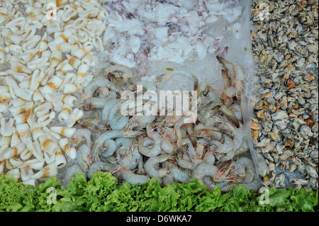 Thailand, Khon Kaen, Thai Meeresfrüchte an Seide Festival stand unter anderem, Tintenfisch, Garnelen und Muscheln Stockfoto