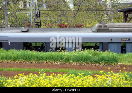 23. April 2013, durchzieht Hanno, Japan - A Seibu Railway Co. express Zug nach Chichibu, etwa 112 km nordwestlich von Tokio, der Vorort der Präfektur Saitama auf des Unternehmens 19 km Seibu Chichibu Linie auf Dienstag, 23. April 2013.  US-Equity-Fonds Cerberus Capital Management hat ein Übernahmeangebot zu steigern ihren Anteil von derzeit 32 Prozent auf knapp 45 Prozent in einem scheinbaren Gebot Eigeninitiative bei der Verwaltung von Seibu Holdings, Bahnhof und Hotel Betreiber gemacht. Gerüchte, die die US-Investmentgesellschaft fordert, dass die unrentablen Amtsleitung geschlossen werden machte lokale Gouverneur ein Stockfoto