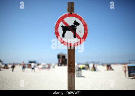 Sankt Peter-Ording, Deutschland, Hunde erlaubt am Strand Stockfoto