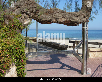 Nord Osten Mallorca Mallorca Insel Cala Millor Spanien Europa Stockfoto