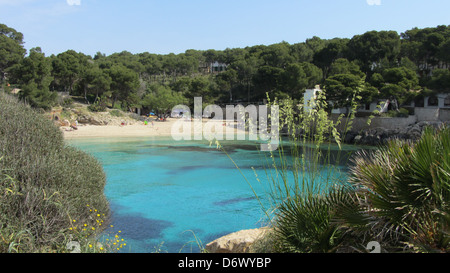 Nord Osten Mallorca Mallorca Insel Cala Millor Spanien Europa Stockfoto