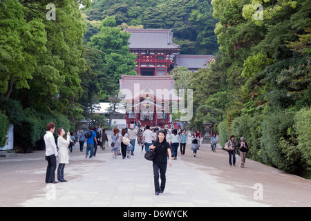 berühmte Tsurugaoka Hachimangu Schrein in Kamakura Stockfoto