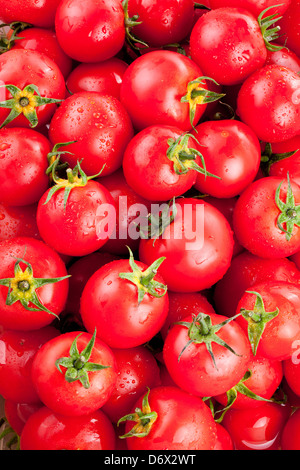 Vielzahl von reife Tomaten Stockfoto