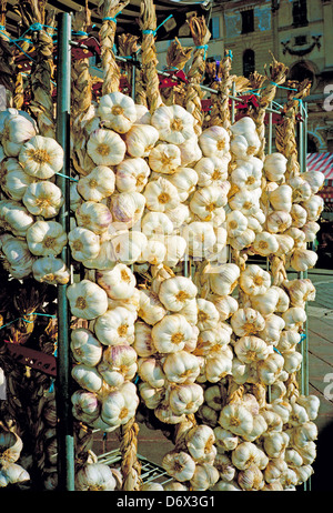 Saiten von Knoblauch auf Verkauf in der Cours Saleya Straße Markt in Nizza an der Cote d ' Azur, Südfrankreich Stockfoto