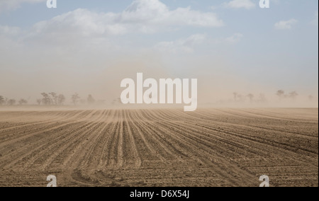 Wind verursacht Bodenerosion in Feldern, Suffolk Sandlings, East Anglia, England, Großbritannien Stockfoto