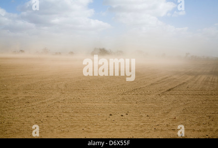 Wind verursacht Bodenerosion in Felder, Suffolk-Sandlings, England Stockfoto