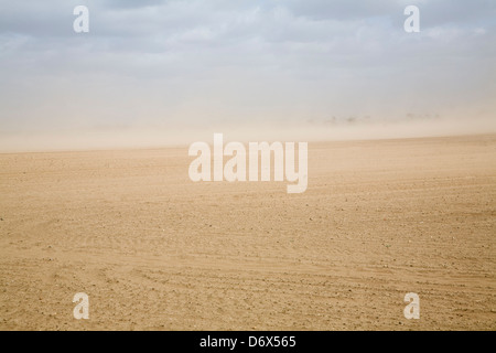 Wind verursacht Bodenerosion in Felder, Suffolk-Sandlings Stockfoto