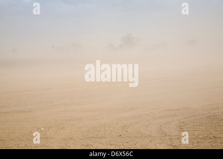 Wind verursacht Bodenerosion in Felder, Suffolk-Sandlings Stockfoto