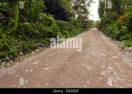 Feldweg durch tropischen Regenwald in Ecuador Stockfoto