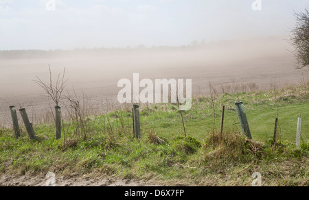 Wind verursacht Bodenerosion in Felder, Suffolk-Sandlings Stockfoto