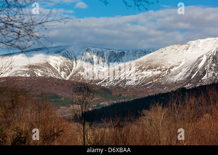 Ein Blick über Achnashellach Wald in Glen Carron in Richtung Glencarron und Glenuig Wald, Achnashellach, Highland, Schottland, UK, Europa. Stockfoto