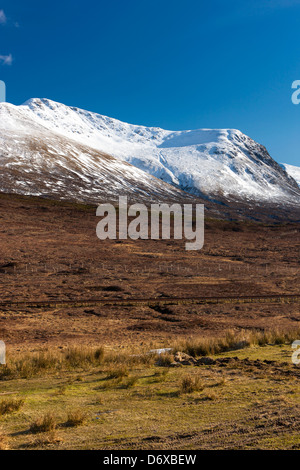 Ein Blick über Glen Carron in Richtung Glencarron und Glenuig Wald, Craig, Highland, Schottland, UK, Europa. Stockfoto