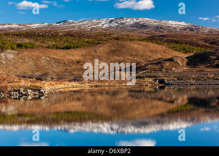 Blick auf Strathconon Wald über Loch ein "Chuilinn, Achanalt, Highland, Schottland, UK, Europa. Stockfoto