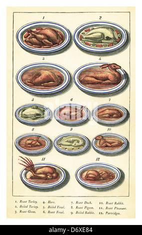 GEFLÜGELWILD VOWL VICTORIAN Warne's Model Cookery and Housekeeping Book 1888, das eine Vielzahl exotischer viktorianischer Wildgerichte veranschaulicht Stockfoto