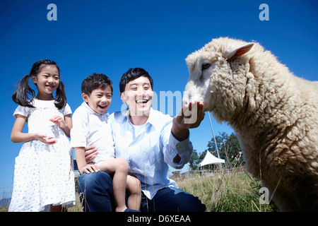 Kinder und Vater Fütterung ein Schaf in einer farm Stockfoto