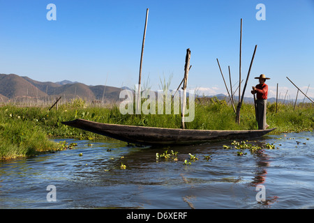 Täglichen Transport auf dem Rücken-Wasser des Lake Inle, Myanmar 8 Stockfoto