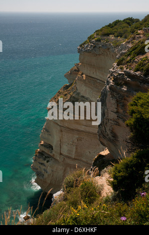 Klippen, Naturpark "La Breña y Marismas de Barbate", Provinz Cádiz, Region Andalusien, Spanien Stockfoto