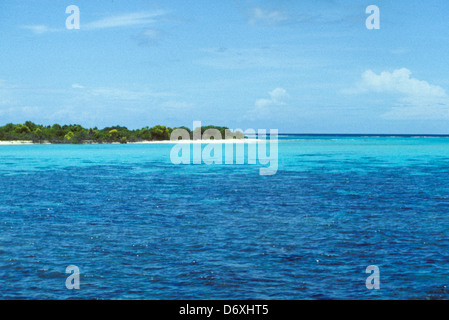 Korallenmeer, Scuba Diving Safari im gesamten Nov1993 Digital Unterwasser schieben-Konvertierung, Malediven, Inseln, Malediven, Indischer Ozean Stockfoto