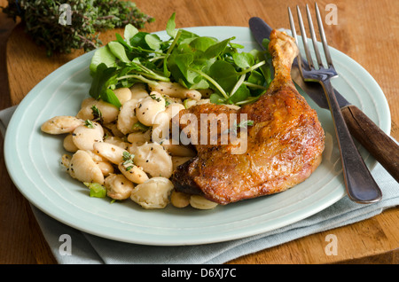 Confit Ente mit Bohnen und Brunnenkresse Stockfoto