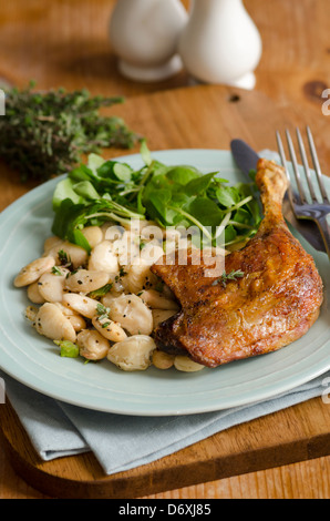 Confit Ente mit Bohnen und Brunnenkresse Stockfoto