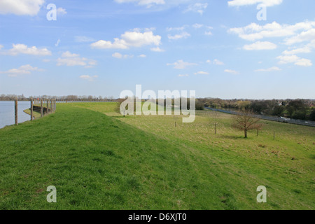 Insel Scheune Reservoir, West Molesey Surrey England UK Stockfoto