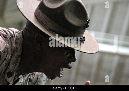 US Marine Corps Drill Instruktoren schreit bei einem Marine Rekruten während einer Mini Bootcamp 9. April 2011 in Annapolis, Maryland. Stockfoto