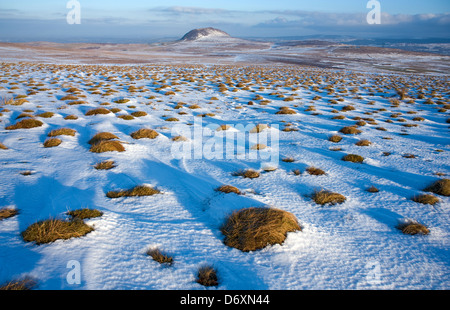 Schnee am Slemish, County Antrim, Nordirland. Stockfoto