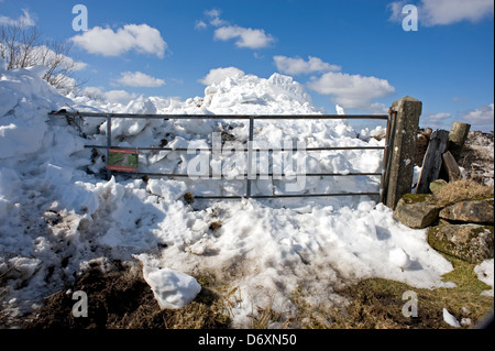 Schnee, gestapelt hinter Tor nach dem Schneefall vom März 2013. Douglas Road, in der Nähe von Slemish, County Antrim, Nordirland. Stockfoto